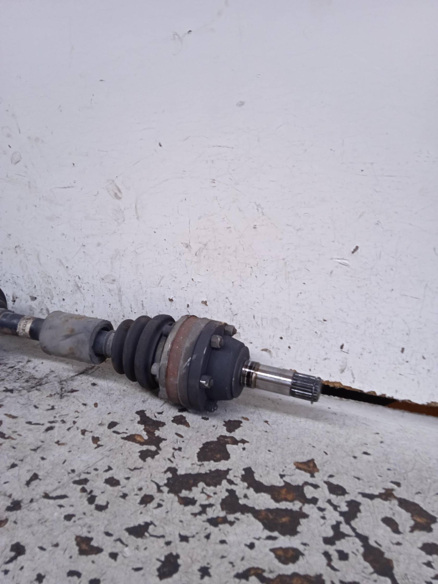 Semialbero ant. compl. sx.